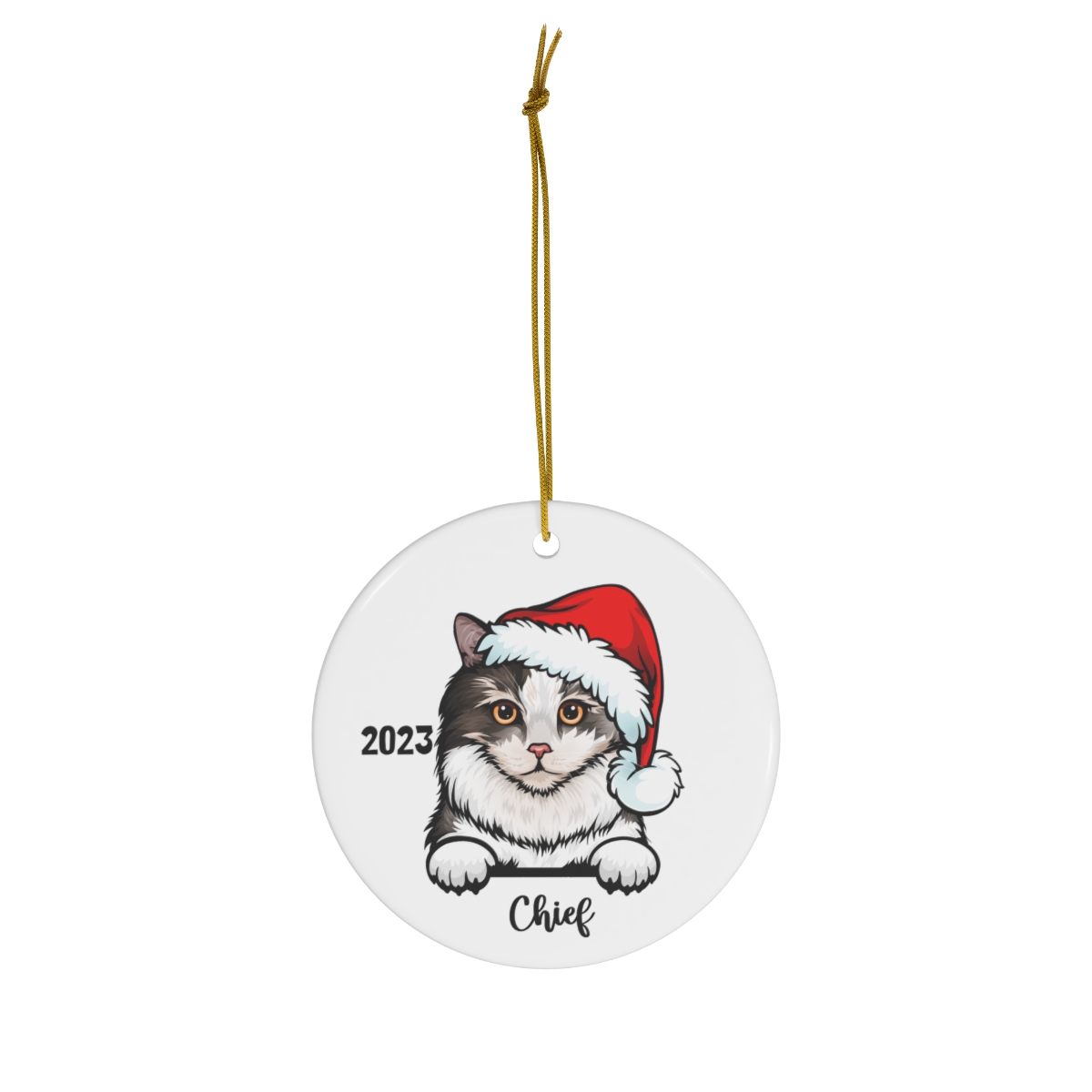 69368-116.jpg Ragamuffin Cat Ceramic Ornament B