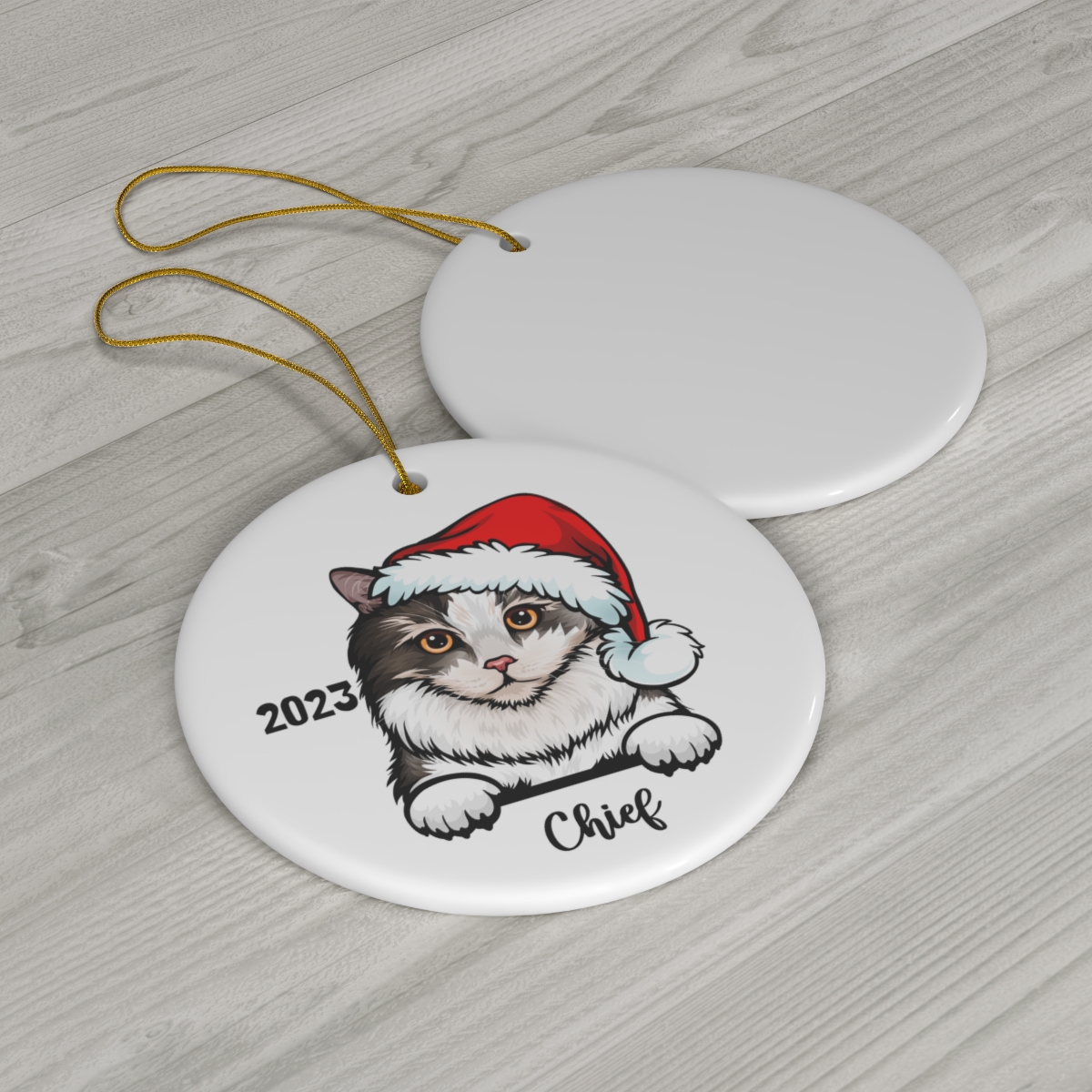 69368-118.jpg Ragamuffin Cat Ceramic Ornament B