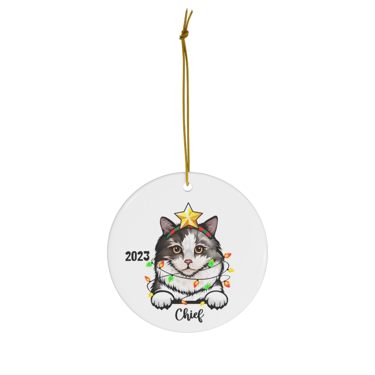 69368-120.jpg Ragamuffin Cat Ceramic Ornament C