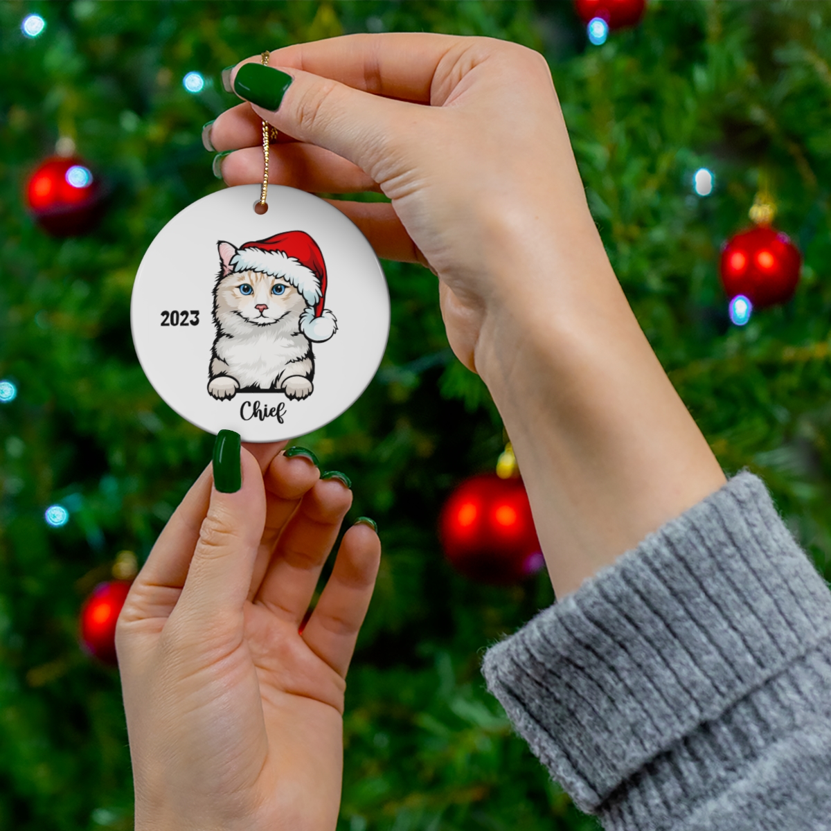 69368-135.jpg Ragdoll Cat Ceramic Ornament B